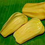 Jackfruit 