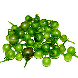 Manathakkali Seeds