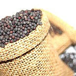 Mustard Seed