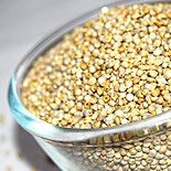 Pearl Millet 