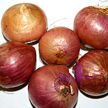Red onion