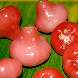 Water Apple
