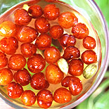 Mini gulab jamun 