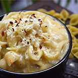 One pot white sauce pasta